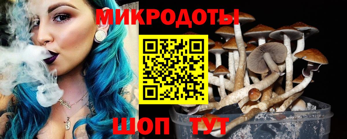 Брянск  Галлюциногенные грибы Psilocybine cubensis  Вход с VPN  Псилоцибиновые грибы MAGIC MUSHROOMS 